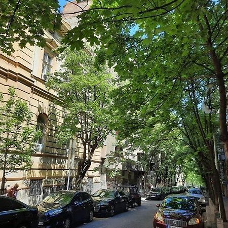 Apartment 51 - Bright, Spacious, Lux 1 Bedroom In The City Center - Stari Grad Belgrád Kültér fotó