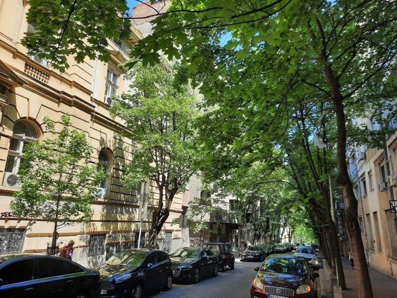 Apartment 51 - Bright, Spacious, Lux 1 Bedroom In The City Center - Stari Grad Belgrád Kültér fotó