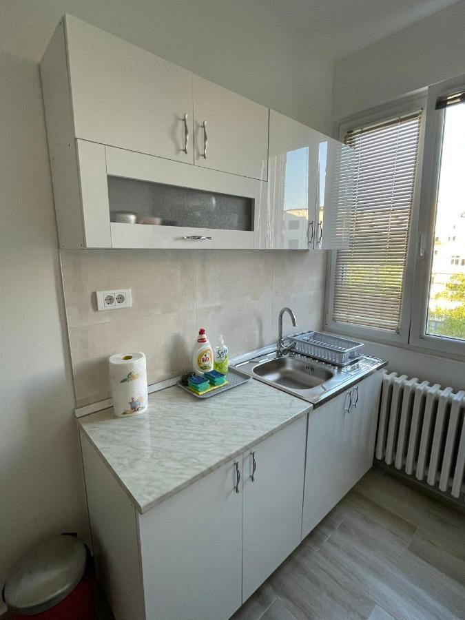 Apartment 51 - Bright, Spacious, Lux 1 Bedroom In The City Center - Stari Grad Belgrád Kültér fotó